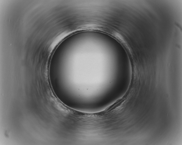 X0000103251336200808281455