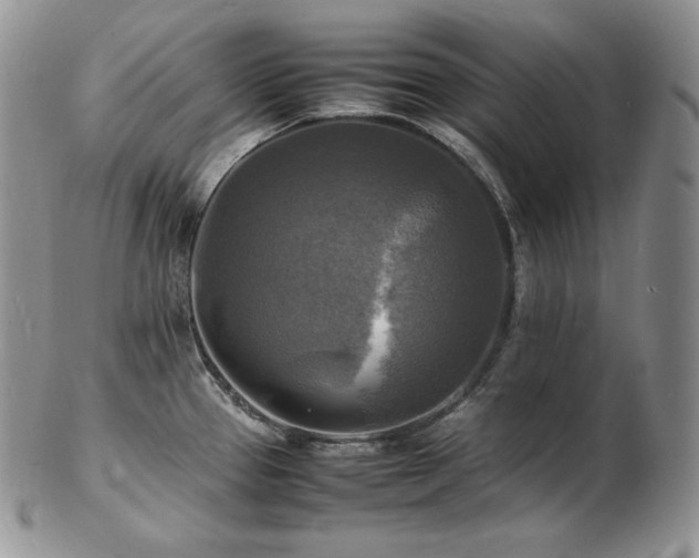 X0000103251337200808281455
