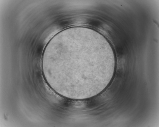 X0000103251338200808281455