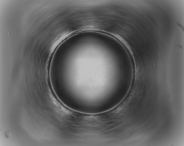 X0000103251341200808281455