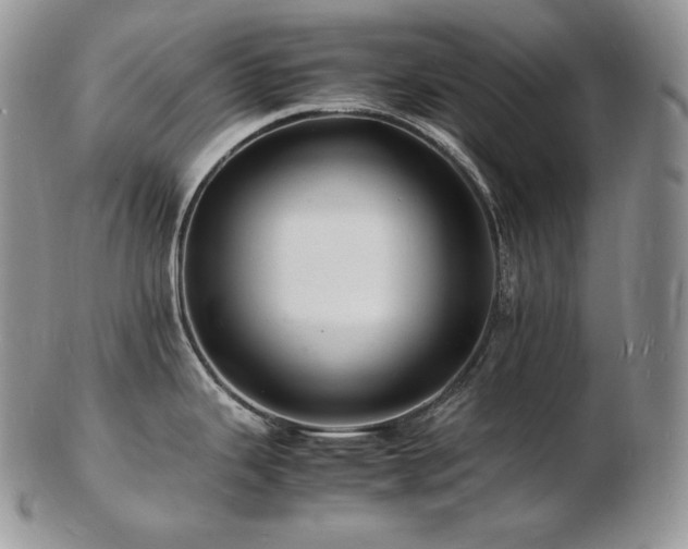 X0000103251343200808281455