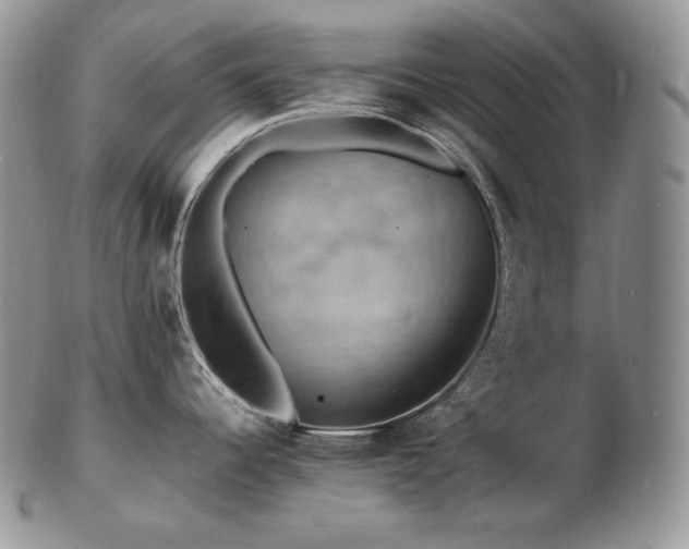 X0000103251344200808281455