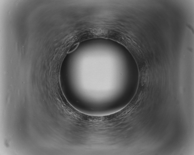 X0000103251345200808281454