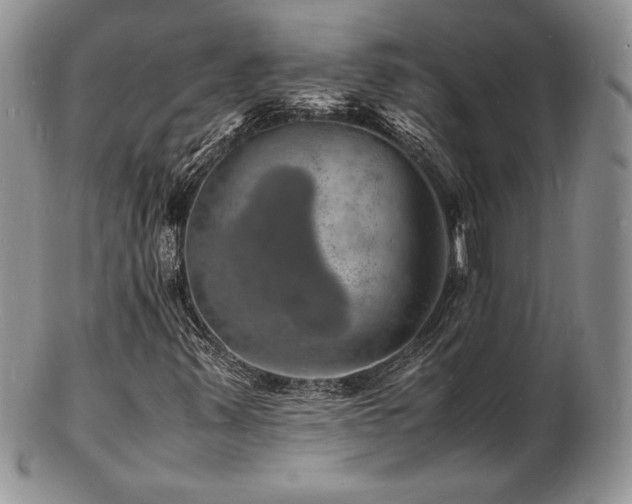 X0000103251347200808281454