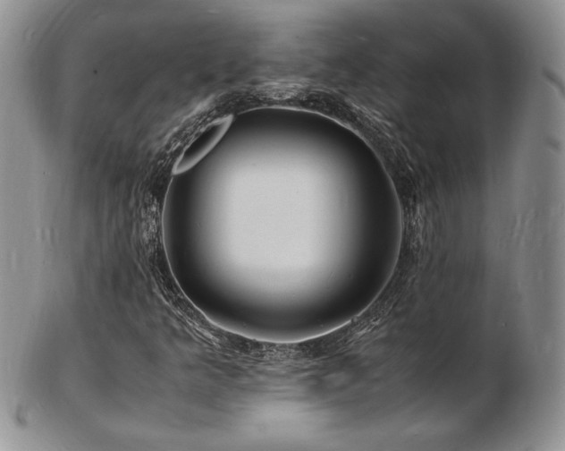 X0000103251349200808281454