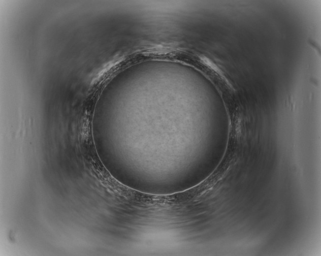X0000103251350200808281454