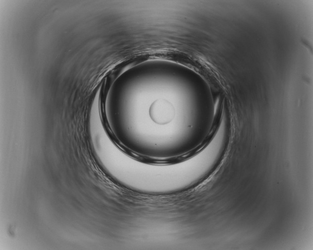 X0000103251353200808281454