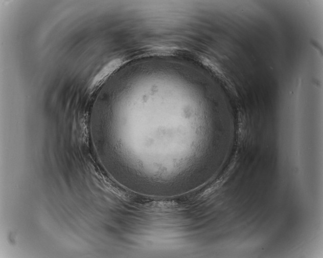X0000103251354200808281454