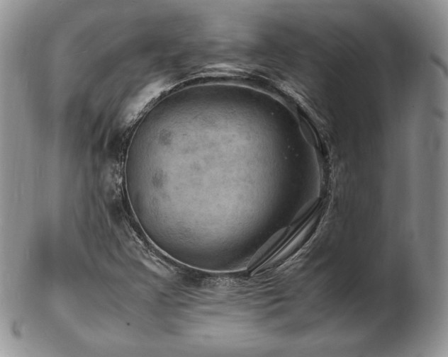 X0000103251355200808281454