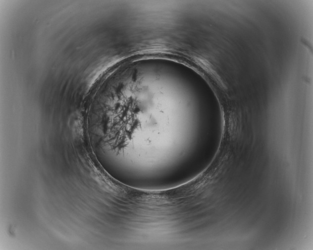 X0000103251356200808281454