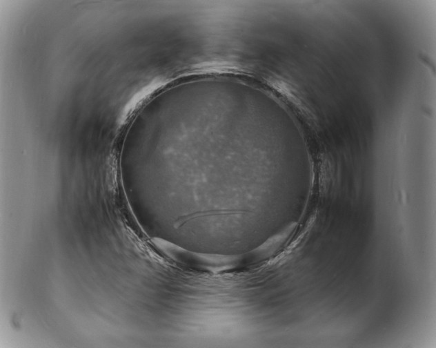 X0000103251358200808281454
