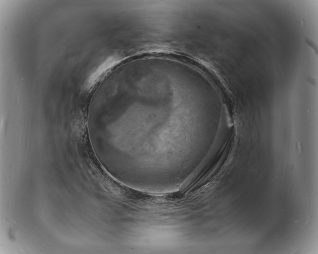 X0000103251359200808281454