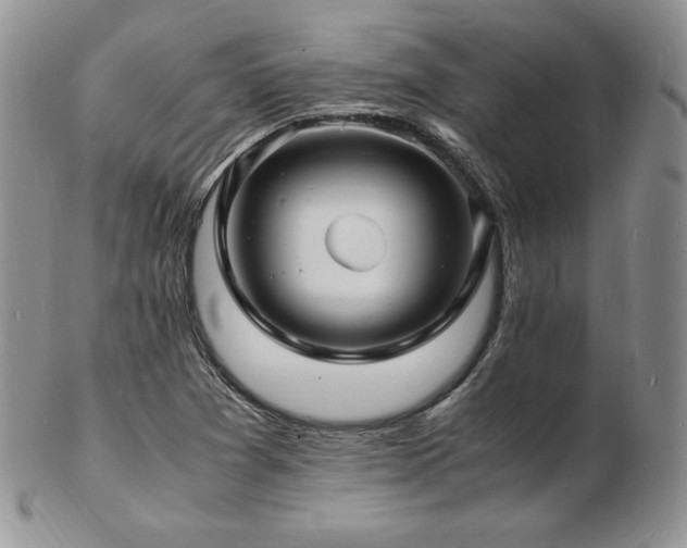 X0000103251361200808281454