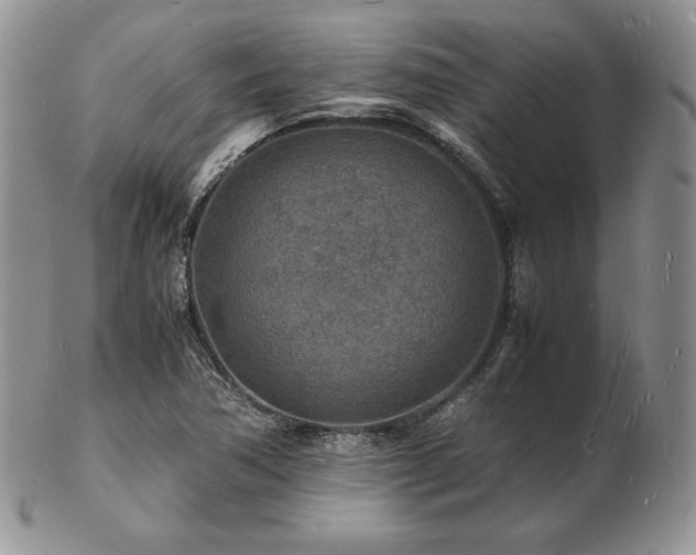 X0000103251362200808281454