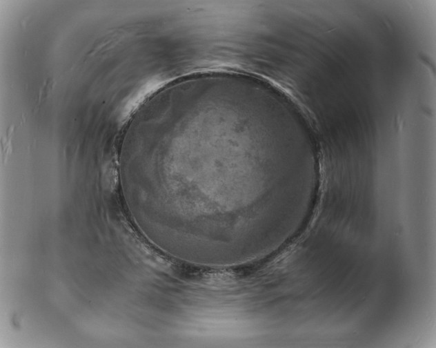 X0000103251363200808281454