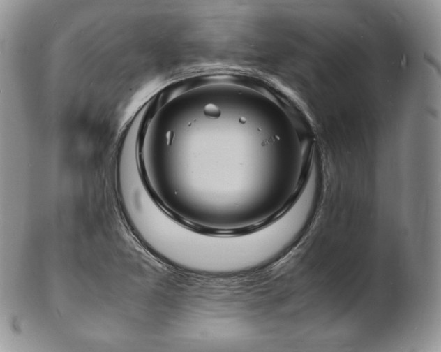 X0000103251365200808281454