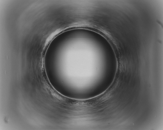 X0000103251366200808281454