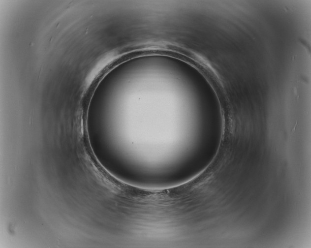 X0000103251368200808281454