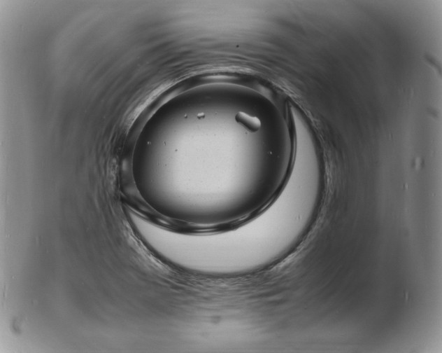 X0000103251369200808281454