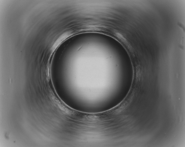 X0000103251370200808281454