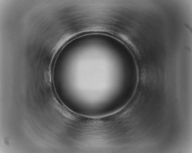 X0000103251372200808281454