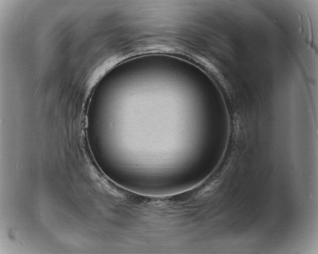 X0000103251373200808281454