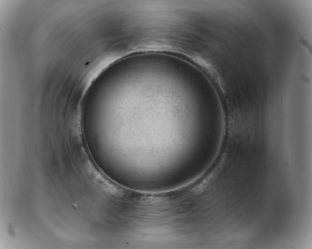 X0000103251374200808281454