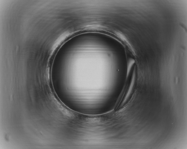X0000103251376200808281454