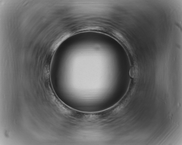 X0000103251377200808281454