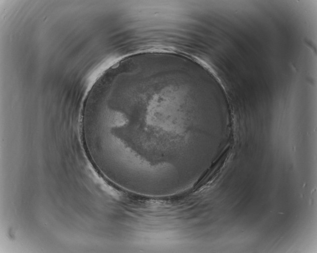 X0000103251379200808281454
