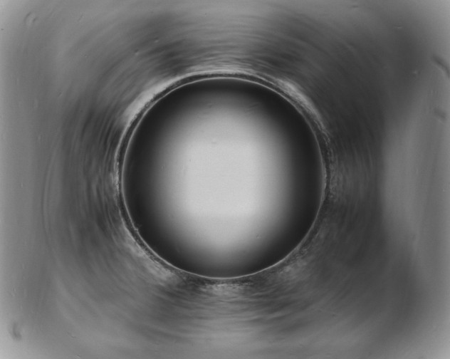 X0000103251380200808281454