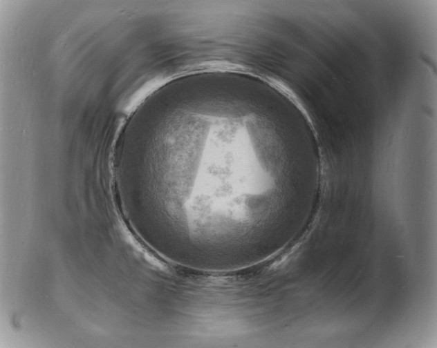 X0000103251381200808281454