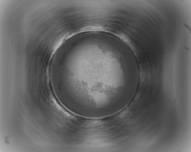 X0000103251382200808281454