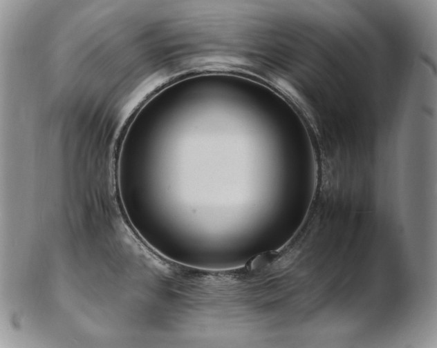 X0000103251384200808281454
