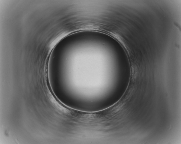 X0000103251387200808281454
