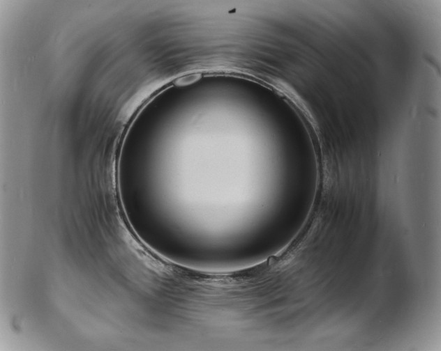X0000103251388200808281454