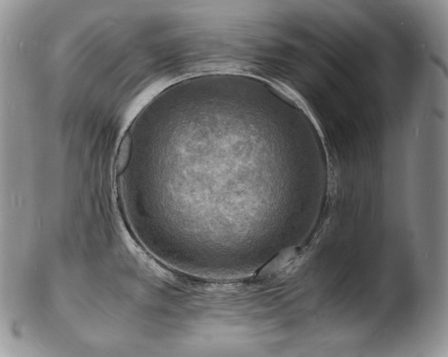 X0000103251389200808281454
