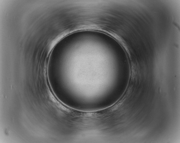X0000103251390200808281454