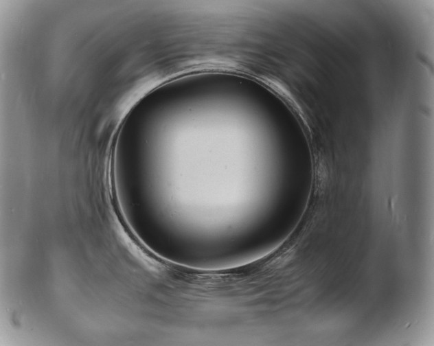 X0000103251391200808281454