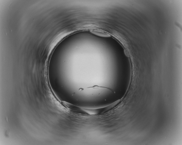 X0000103251392200808281454