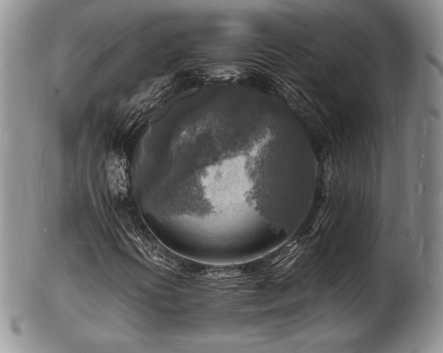 X0000103251394200808281453