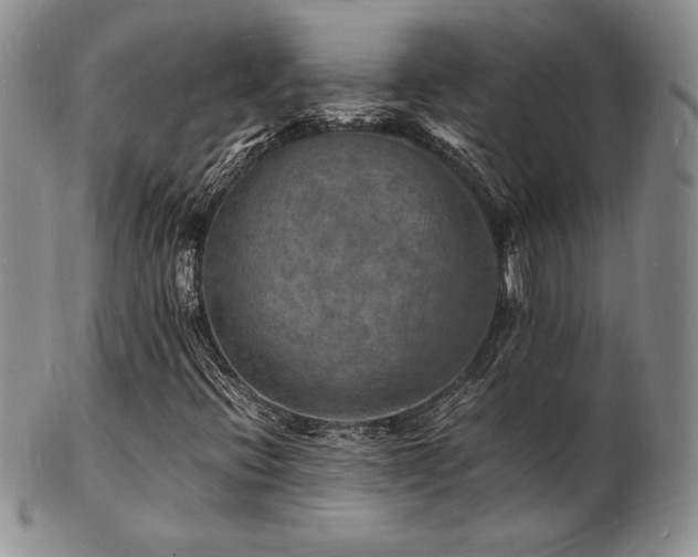 X0000103251396200808281453