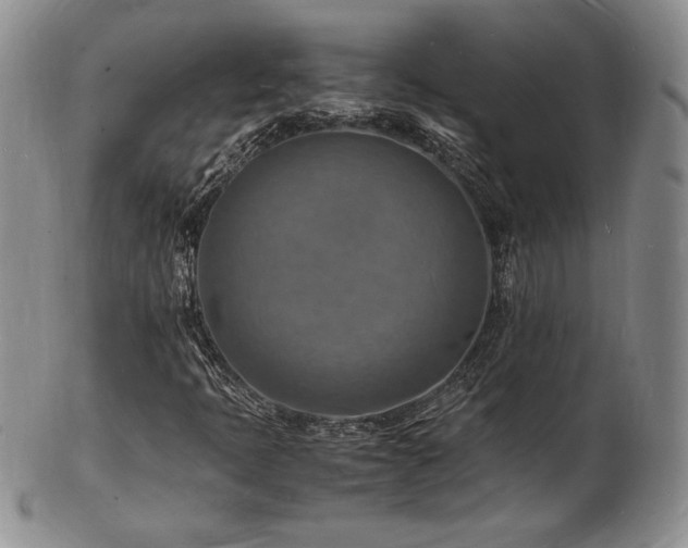 X0000103251397200808281453