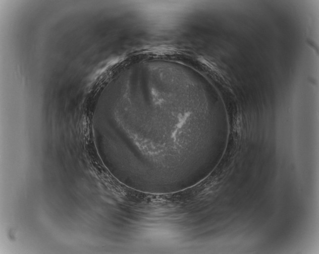 X0000103251398200808281453