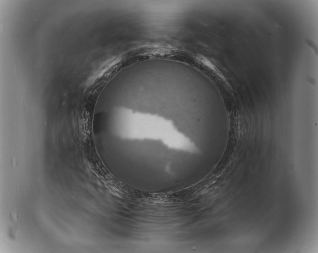 X0000103251399200808281453