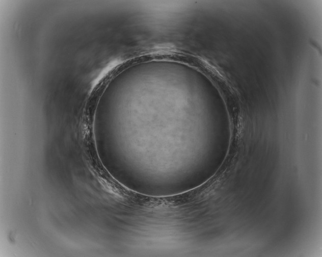 X0000103251400200808281453