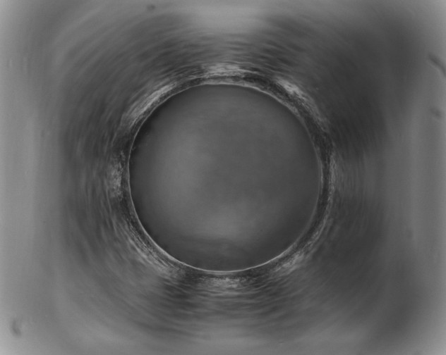 X0000103251401200808281453