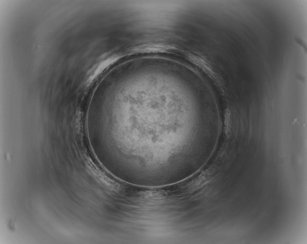 X0000103251404200808281453