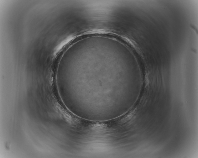 X0000103251406200808281453