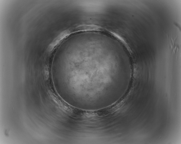X0000103251407200808281453